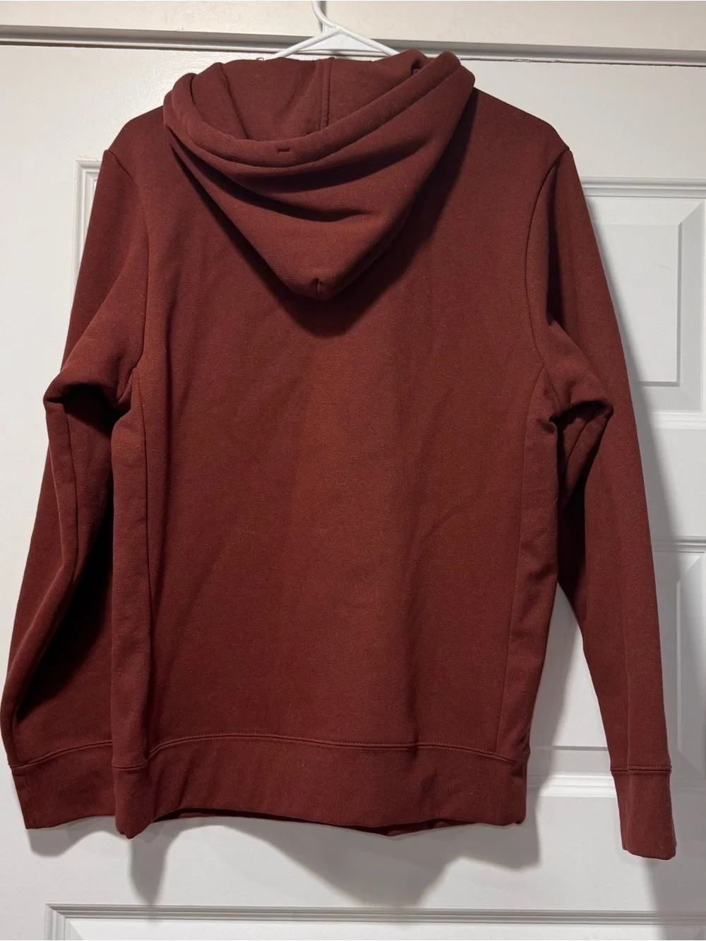 Patagonia Rust Pullover Hoodie with Logo Patch